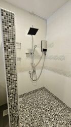 Shamrock Park (D10), Semi-Detached #466328831